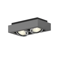 Ronka 2 Plafondlamp Grijs - Arcchio - Koop Online