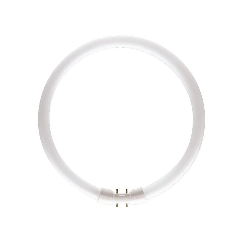Lichtbron 22W/830 Tl5 Circulaire Buis 2Gx13 - Philips - Koop Online
