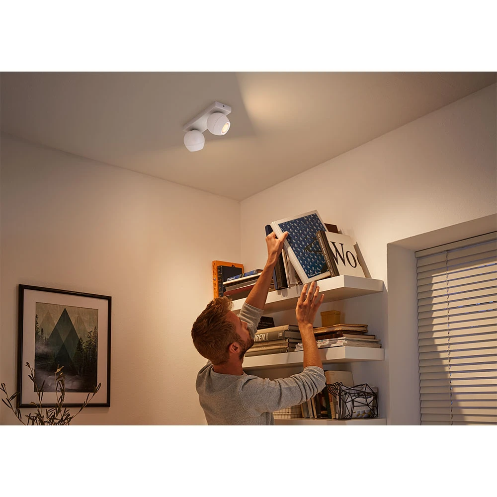 Buckram Plafondlamp 2xBar/Tube White Amb. White - Philips Hue - Koop Online - Afbeelding 2