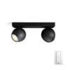 Buckram Plafondlamp 2xBar/Tube White Amb. Black - Philips Hue - Koop Online